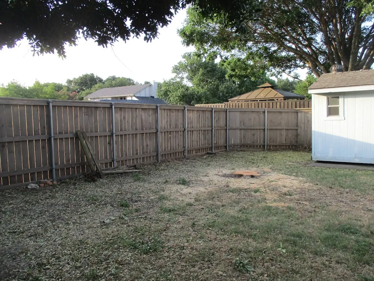 Cleared yard after professional tree removal in Chavies